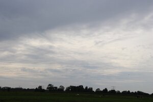 IMG_1104
