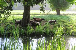 IMG_1037